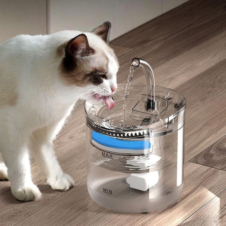 ChatEau™ Bebedero Fuente Automática de Agua para Gatos